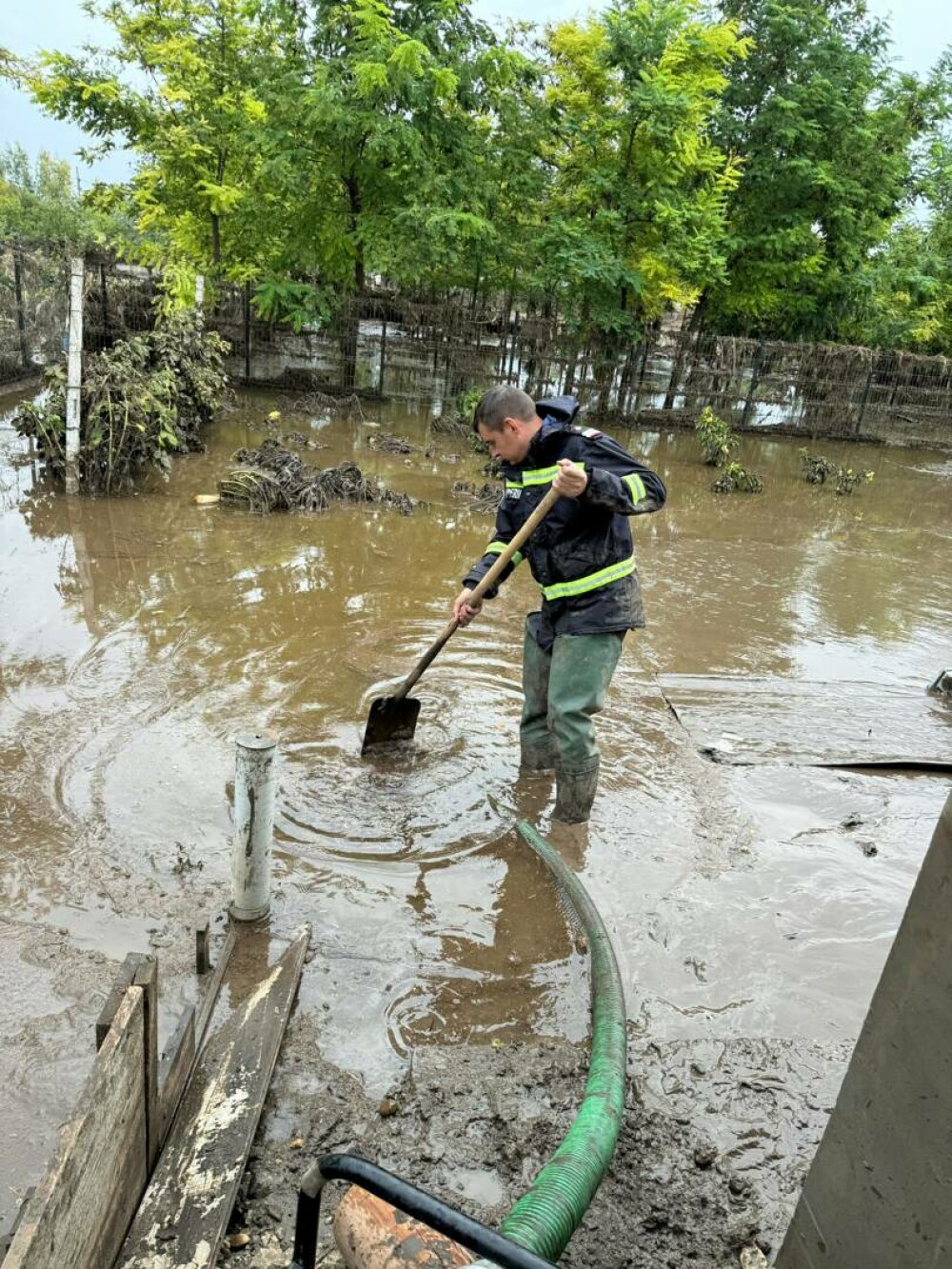 Focar de infecție în Galați, după inundațiile devastatoare. Mii de animale moarte au fost luate de ape și aduse în vest - Imaginea 2