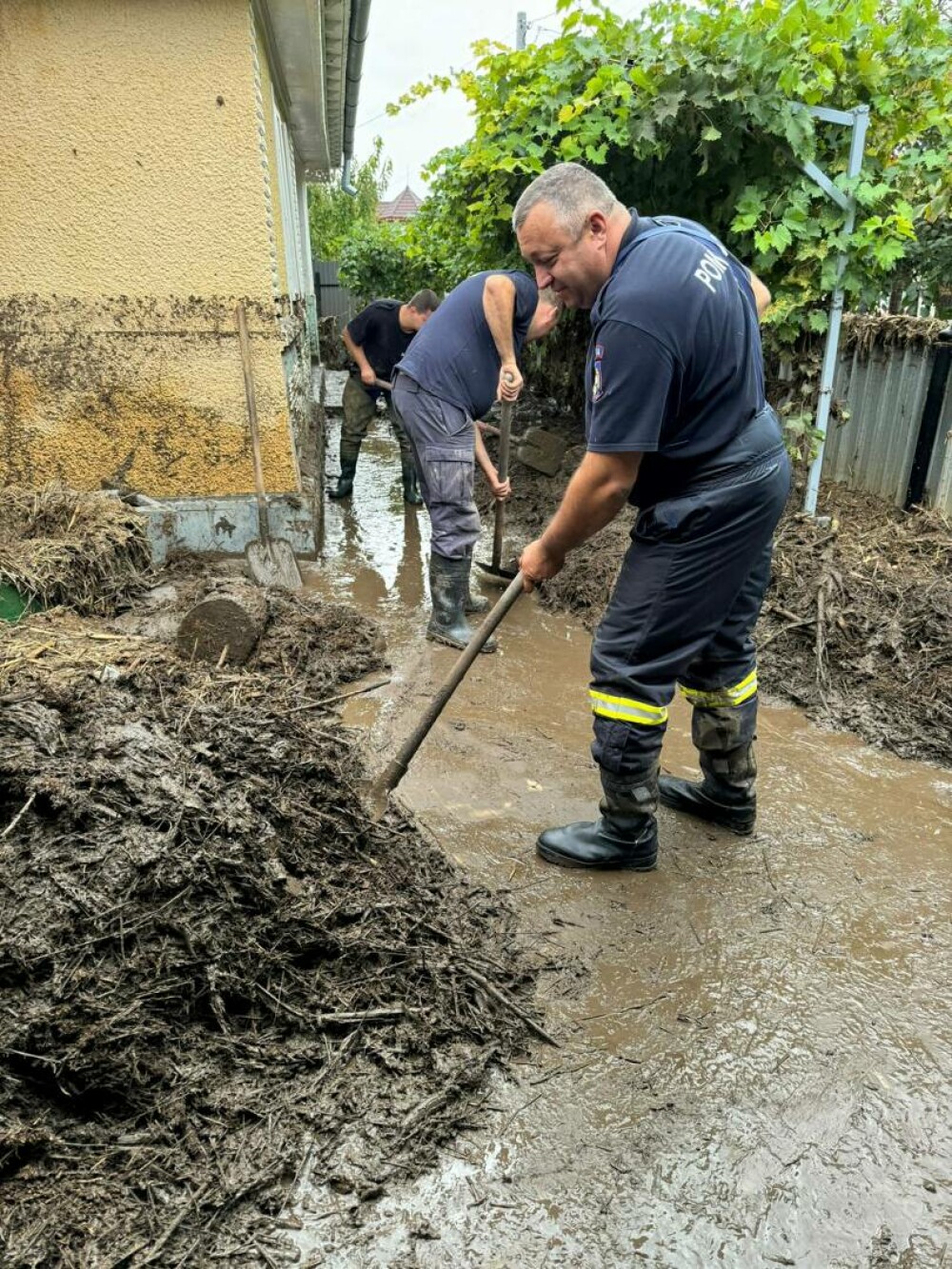 Focar de infecție în Galați, după inundațiile devastatoare. Mii de animale moarte au fost luate de ape și aduse în vest - Imaginea 3