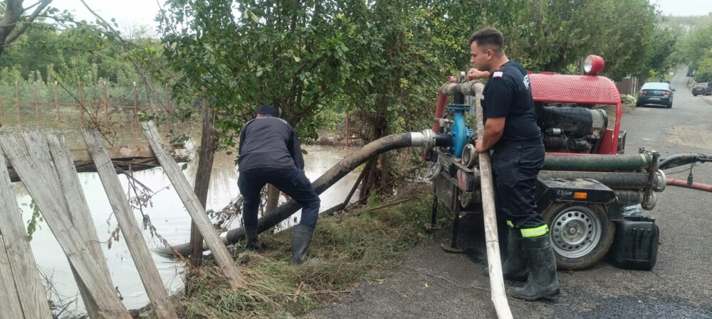 Focar de infecție în Galați, după inundațiile devastatoare. Mii de animale moarte au fost luate de ape și aduse în vest - Imaginea 8