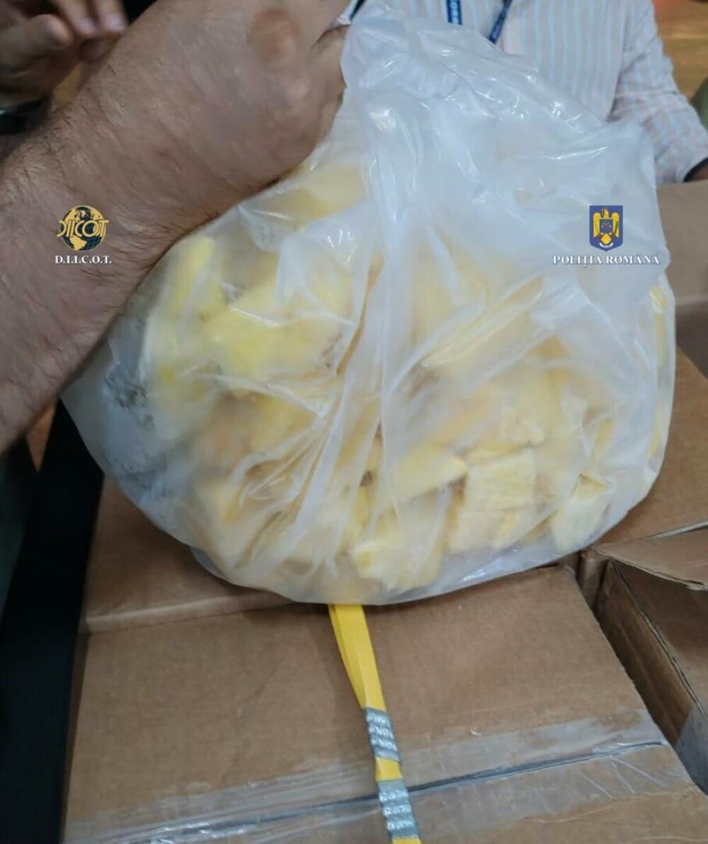 Cocaină descoperită în butoaie cu fructe congelate importate din Ecuador. Unde trebuiau să ajungă drogurile | FOTO - Imaginea 23