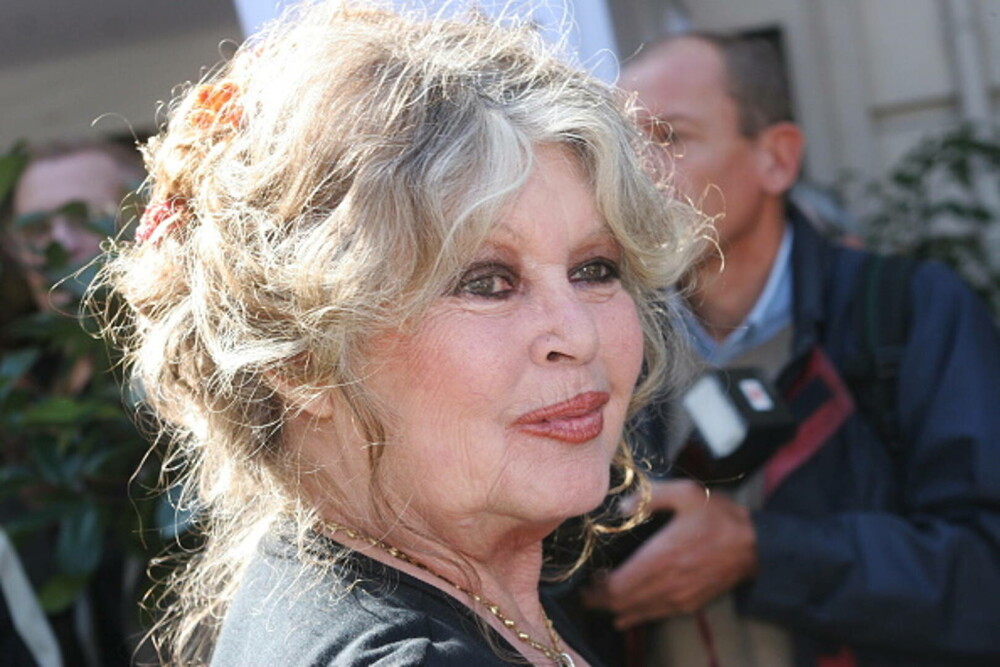 Brigitte Bardot împlinește 90 de ani. Povestea de viață a legendei cinematografiei franceze. GALERIE FOTO - Imaginea 16