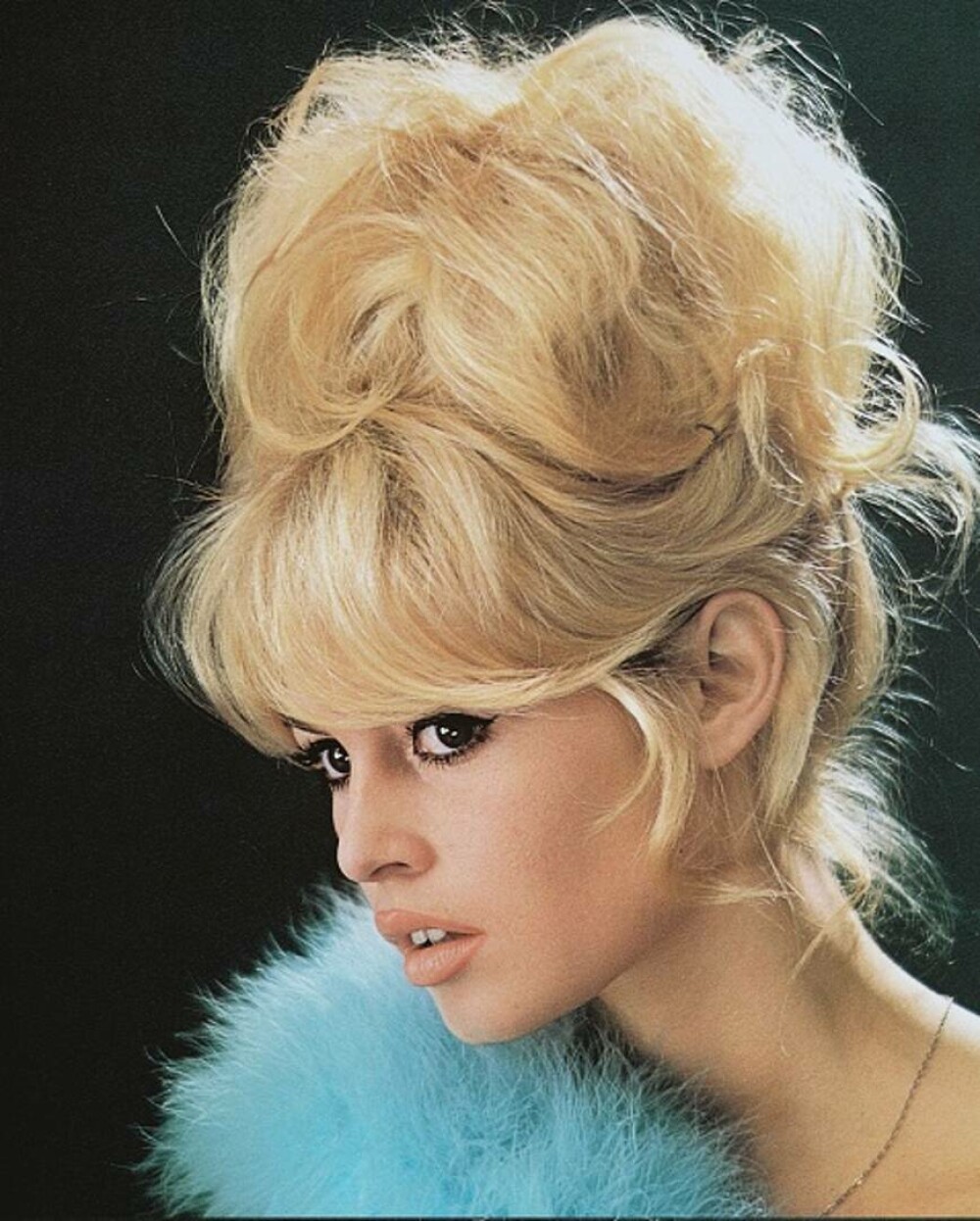 Brigitte Bardot împlinește 90 de ani. Povestea de viață a legendei cinematografiei franceze. GALERIE FOTO - Imaginea 21