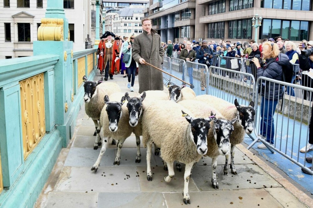 Un star de la Hollywood a trecut cu oile peste un pod din Londra. FOTO & VIDEO - Imaginea 6