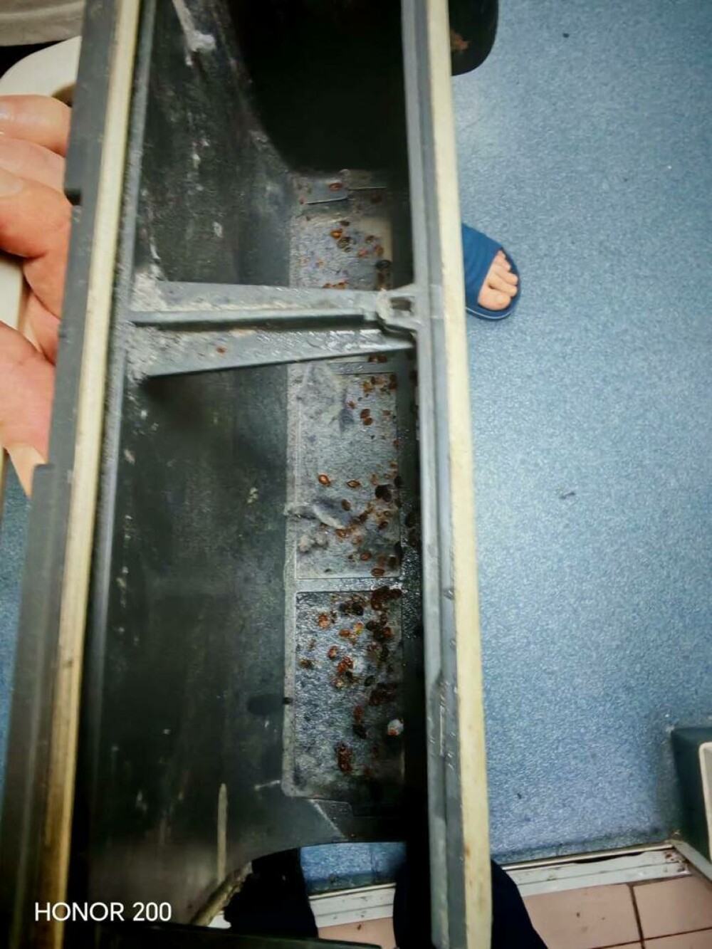 Sediile Poliției Capitalei sunt invadate de ploșnițe. Peste 10 agenți au ajuns la UPU din cauza mușcăturilor - Imaginea 1