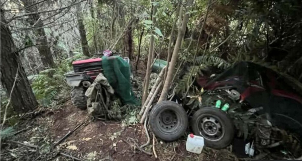 Cazul copiilor ascunși în pădure timp de patru ani, în Noua Zeelandă. Primele imagini din ascunzătoarea tatălui fugar - Imaginea 4