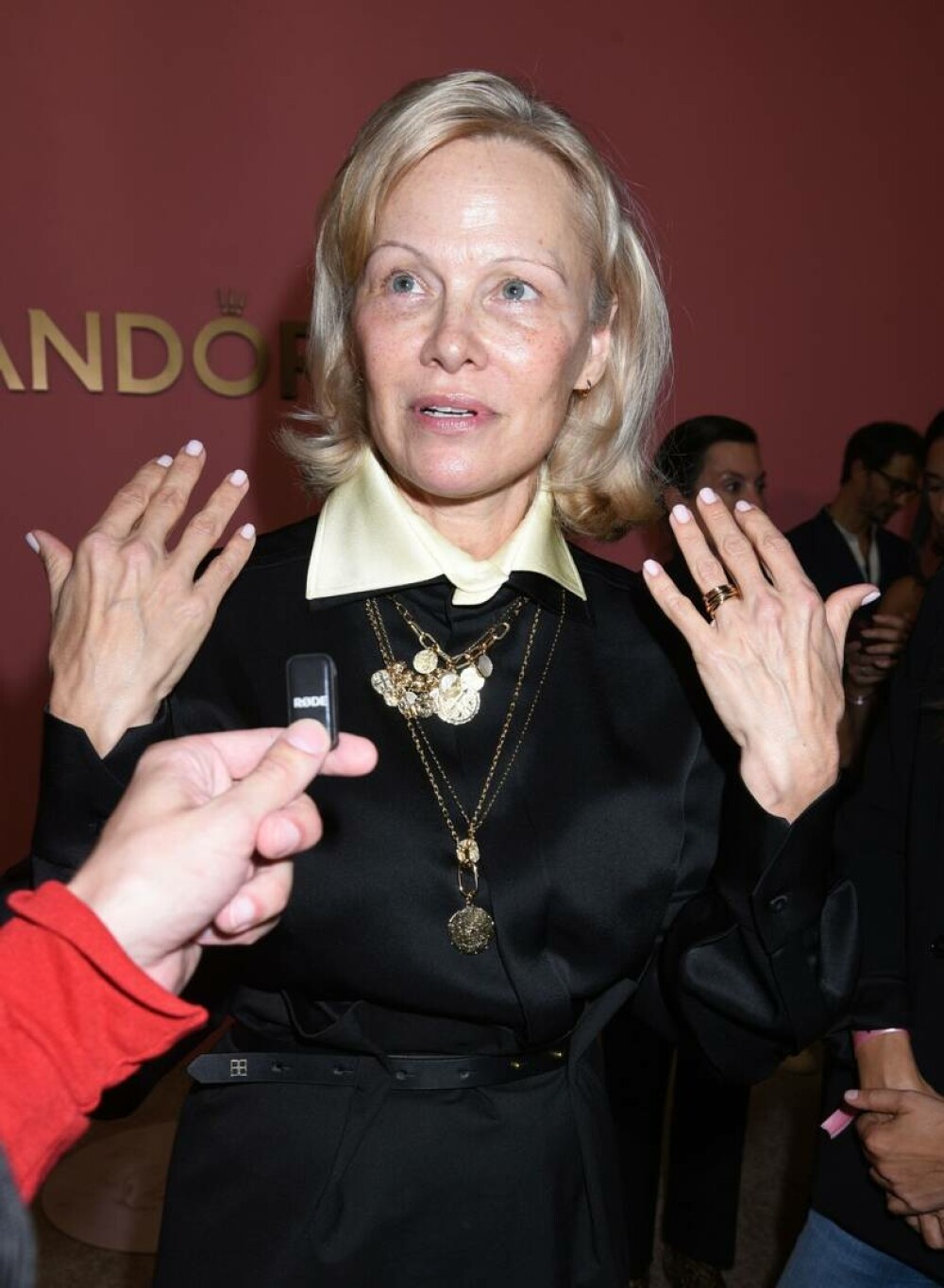 Pamela Anderson, din nou fără machiaj, la un eveniment monden din New York. GALERIE FOTO - Imaginea 18