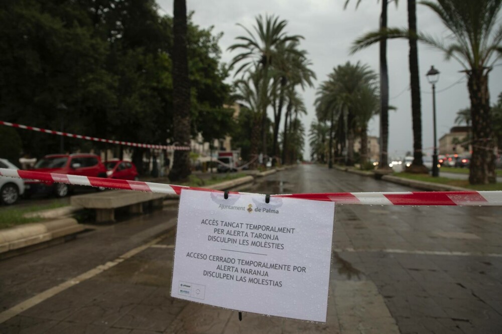 Haos pe aeroportul din Mallorca. Ploile torențiale au provocat întârzieri și anulări de zboruri. GALERIE FOTO - Imaginea 3