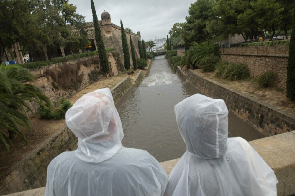 Haos pe aeroportul din Mallorca. Ploile torențiale au provocat întârzieri și anulări de zboruri. GALERIE FOTO - Imaginea 10