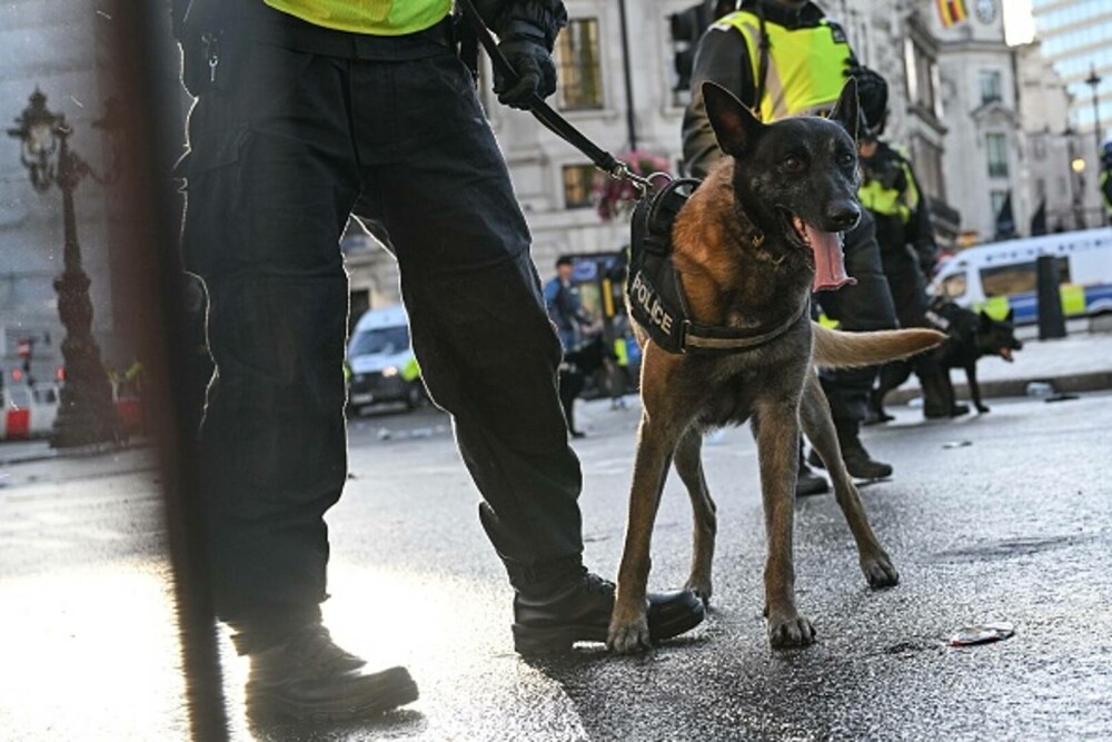 26 de polițiști au fost răniți la protestul lui Tommy Robinson din Londra. 25 de persoane au fost arestate. GALERIE FOTO - Imaginea 7