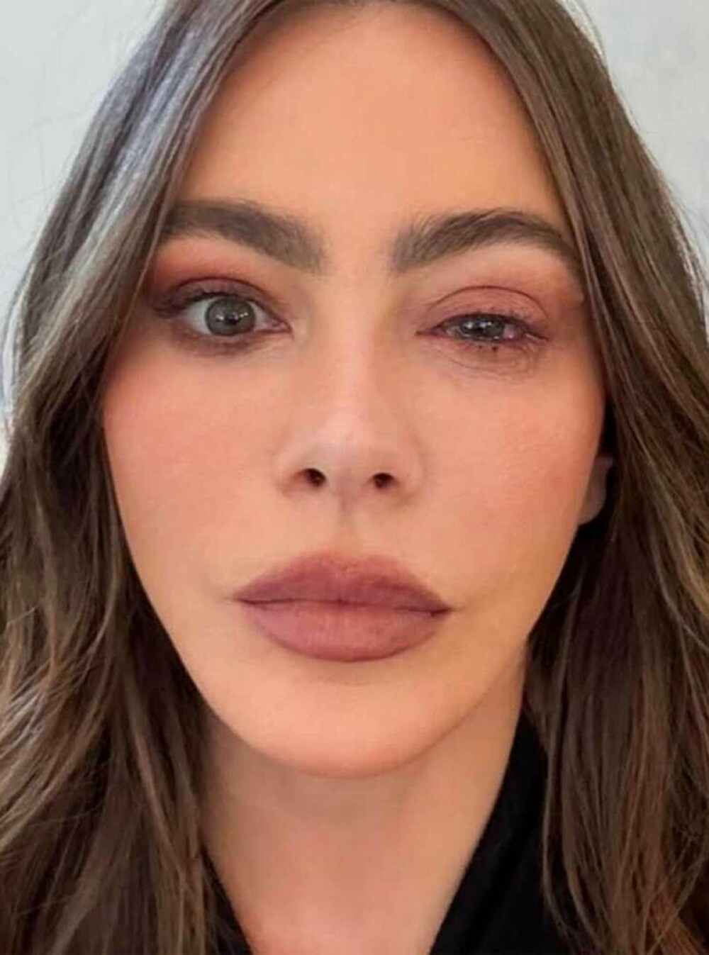 Sofia Vergara, de urgență la spital în noaptea Premiilor Emmy 2025. Ce a pățit actrița. FOTO - Imaginea 27