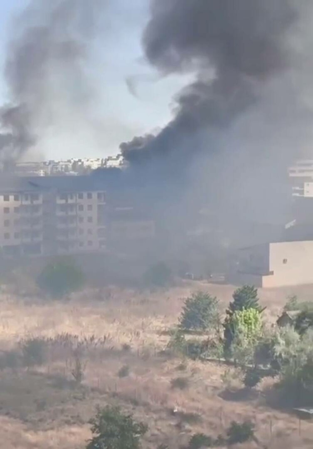 Adus în pragul nebuniei de alergii, se apără el, un bucureștean a dat foc ambroziei. În scurt timp s-a declanșat iadul - Imaginea 1