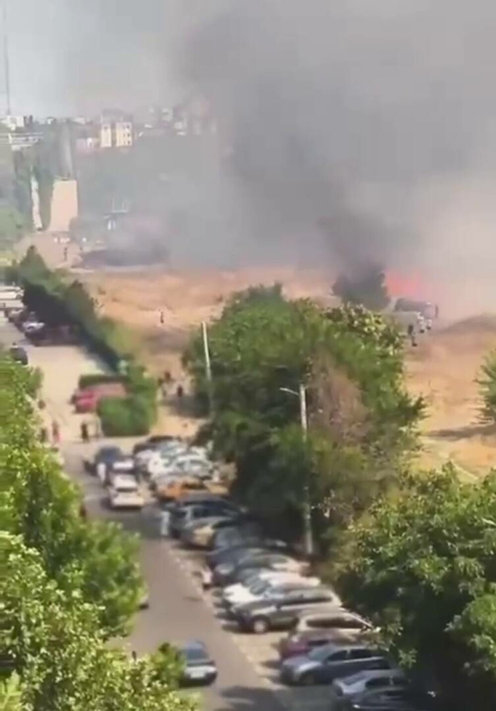 Adus în pragul nebuniei de alergii, se apără el, un bucureștean a dat foc ambroziei. În scurt timp s-a declanșat iadul - Imaginea 2