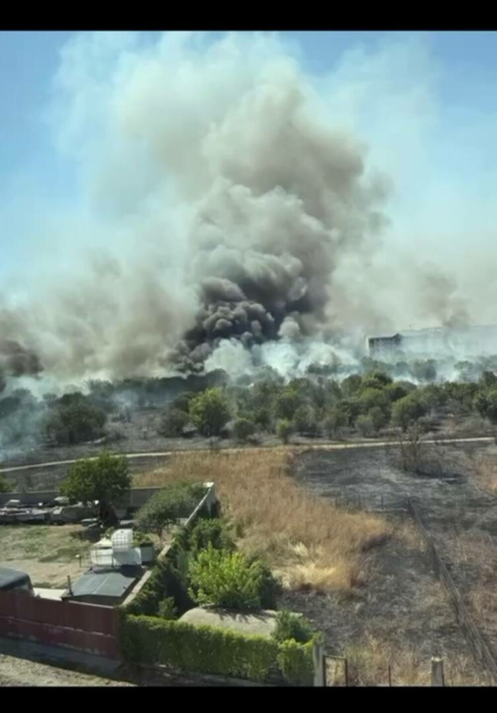 Adus în pragul nebuniei de alergii, se apără el, un bucureștean a dat foc ambroziei. În scurt timp s-a declanșat iadul - Imaginea 4