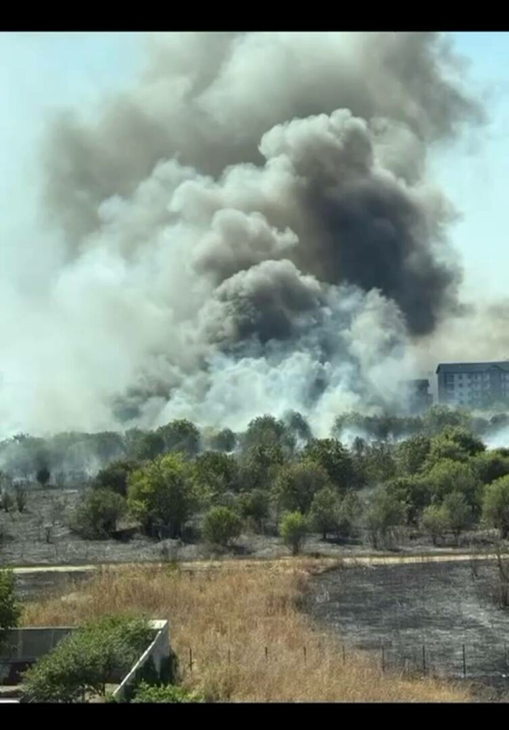 Adus în pragul nebuniei de alergii, se apără el, un bucureștean a dat foc ambroziei. În scurt timp s-a declanșat iadul - Imaginea 5