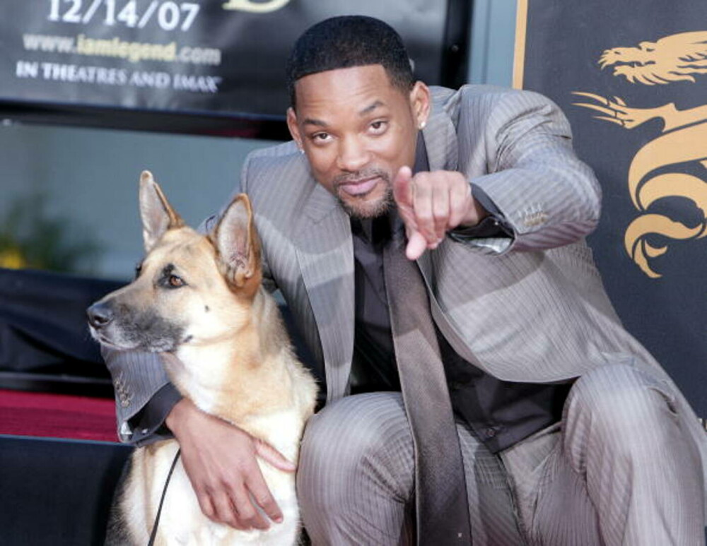 Will Smith împlineşte 57 de ani. Povestea actorului care a fost desemnat în 2007 „cel mai puternic star de la Hollywood” FOTO - Imaginea 22