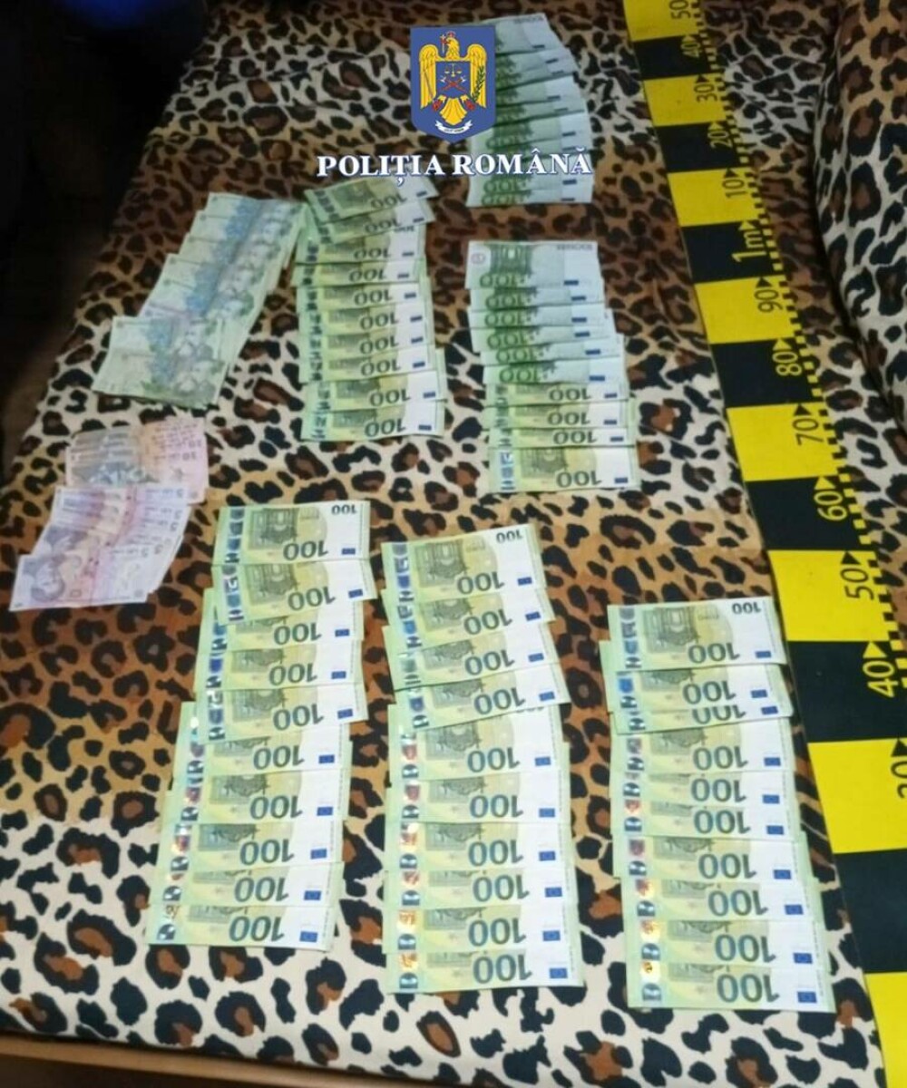 Percheziţii în Bihor. Șapte bărbați, suspectaţi că au spart cu sticle mai multe geamuri ale unui imobil din Arad. VIDEO - Imaginea 3