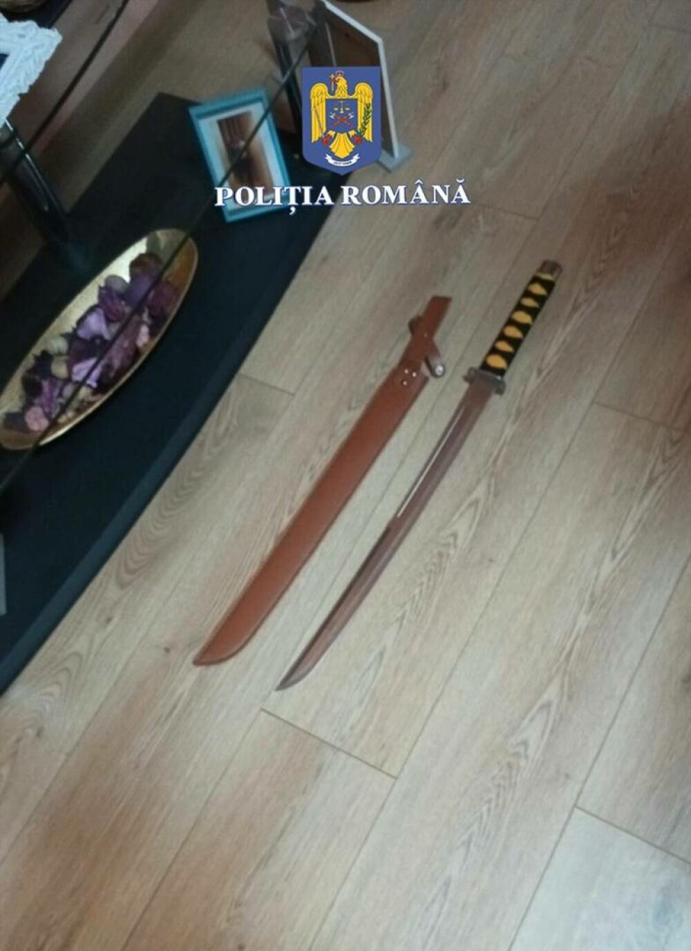 Percheziţii în Bihor. Șapte bărbați, suspectaţi că au spart cu sticle mai multe geamuri ale unui imobil din Arad. VIDEO - Imaginea 4