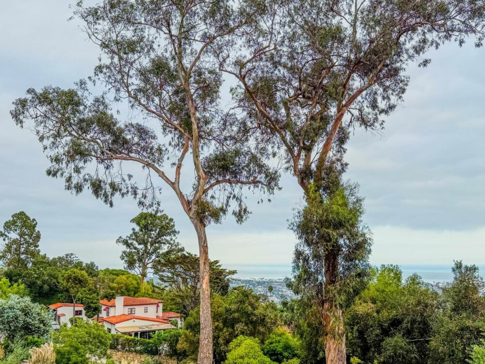 Selena Gomez, în febra pregătirilor de nuntă. Cum arată locul unde actrița și Benny Blanco se vor căsători. GALERIE FOTO - Imaginea 33