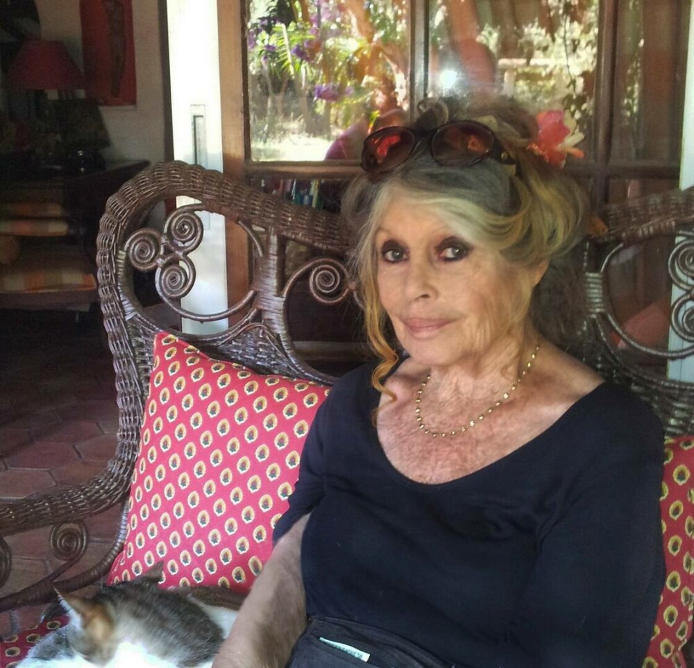 Brigitte Bardot împlinește 91 de ani. Povestea de viață a legendei cinematografiei franceze. GALERIE FOTO - Imaginea 36