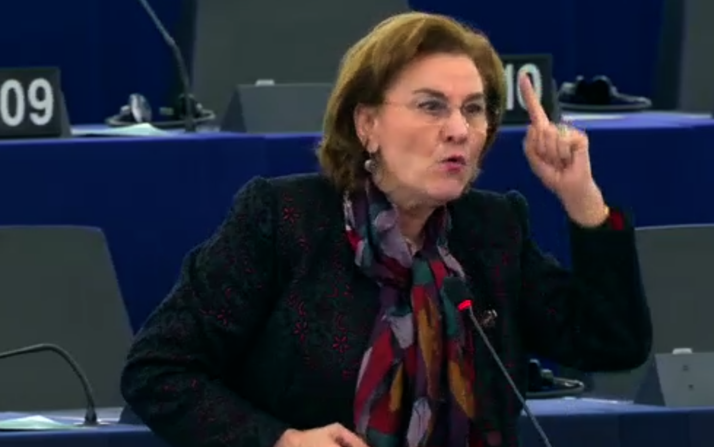 Maria Grapini in Parlamentul European
