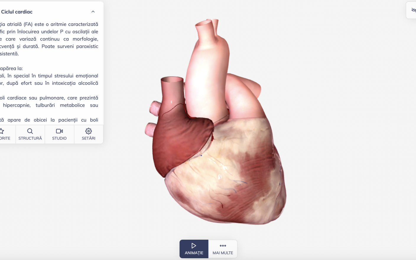 PREMIERĂ: Medicină 3D online pentru studenți, în limba română, prin BioMap.ro