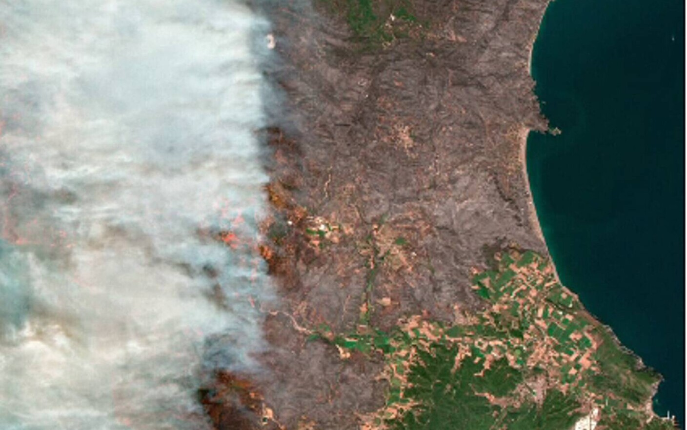 Οι φωτιές στην Ελλάδα είναι ορατές από το διάστημα.  Εικόνες που λαμβάνονται από δορυφόρους.  ΒΙΝΤΕΟ