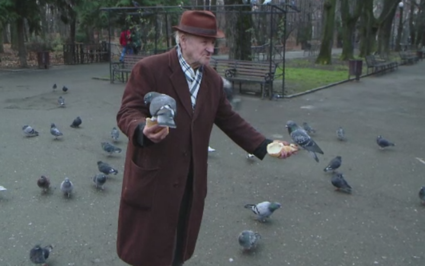 Democracy emergency Latin Desi are 92 de ani, merge zilnic in parc pentru a hrani porumbeii si sa  uite de probleme. "Cand e zapada, eu tot vin" - Stirileprotv.ro