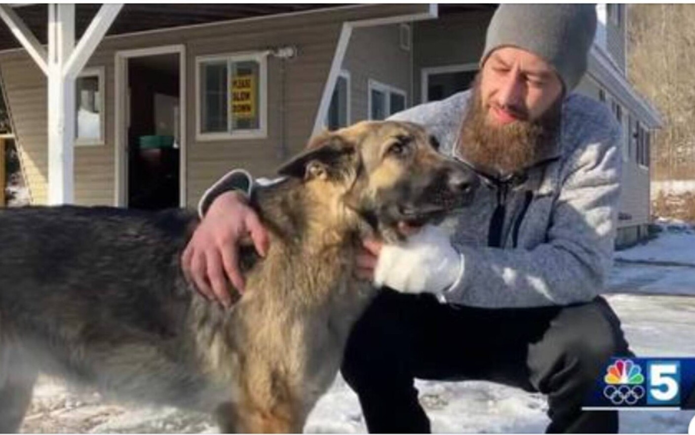 Un câine din SUA și-a salvat stăpânul după ce s-a dus i-a adus pe polițiști la locul accidentului: ”Este un miracol”