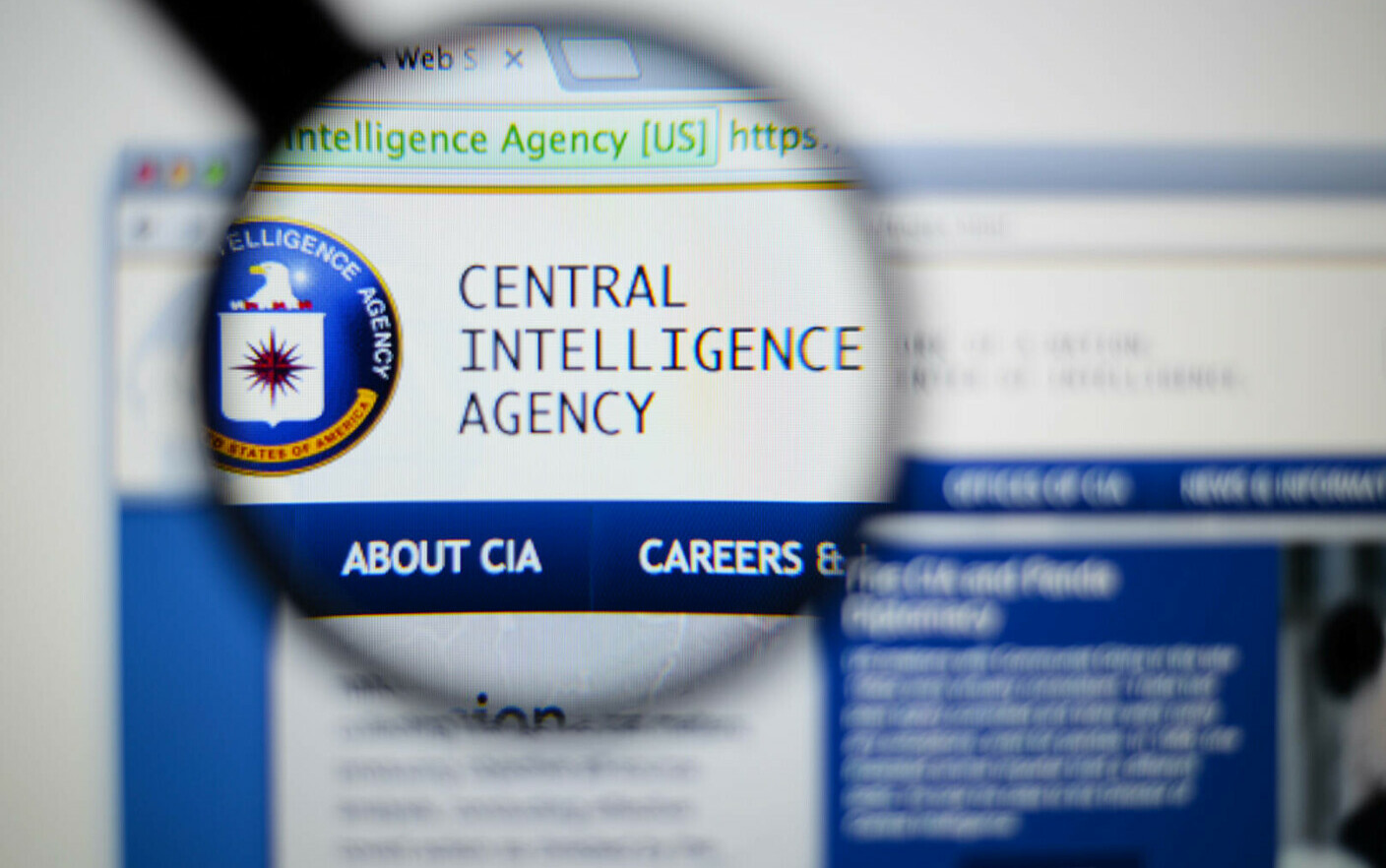 un informatician ar fi scurs date CIA către Wikileaks