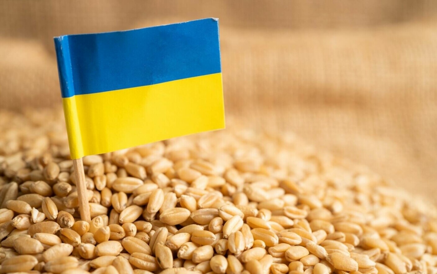 Cereale Ucraina
