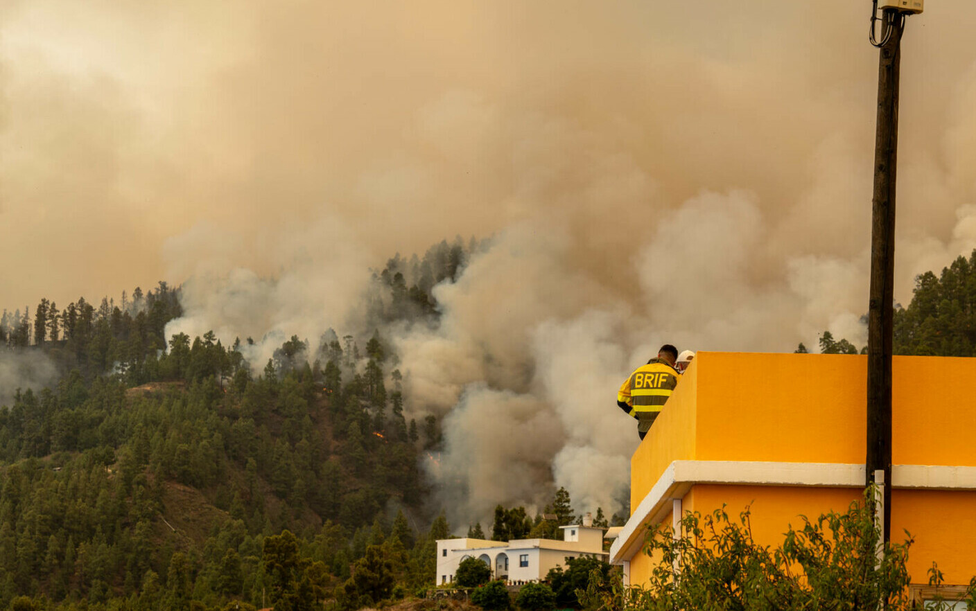 L’Europa sta bollendo sotto temperature torride.  Codice di allerta rosso in 16 città d’Italia.  Massiccio incendio alla Palma