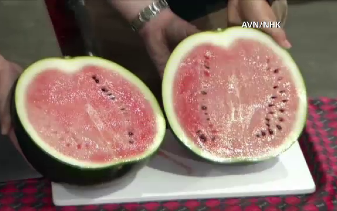 Din Cei 890 De Pepeni Cei mai scumpi pepeni din lume. Motivul pentru care japonezii scot din