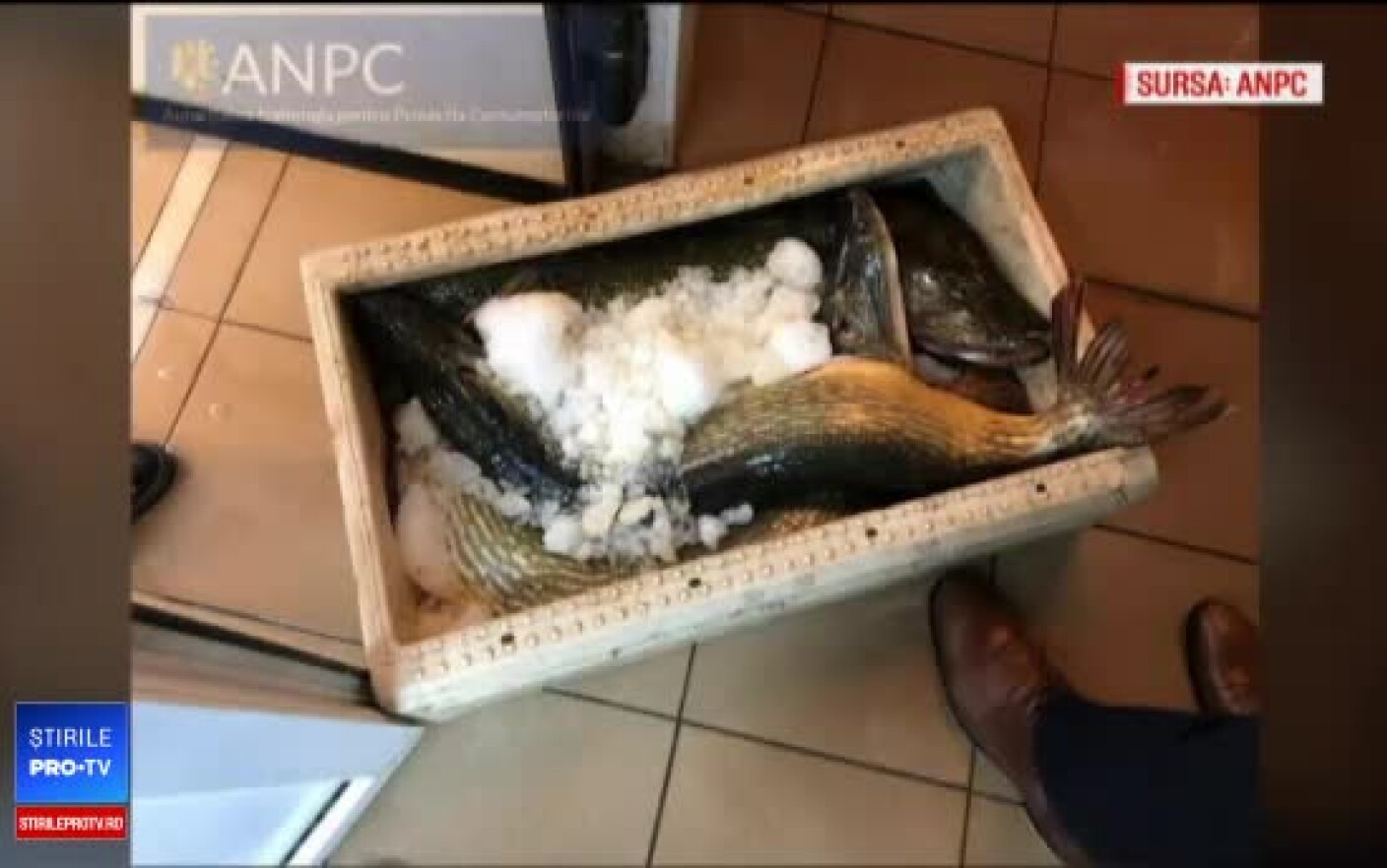 Cum Ajungem Să Consumăm Pește Contaminat Cu Metale Grele Pe Care
