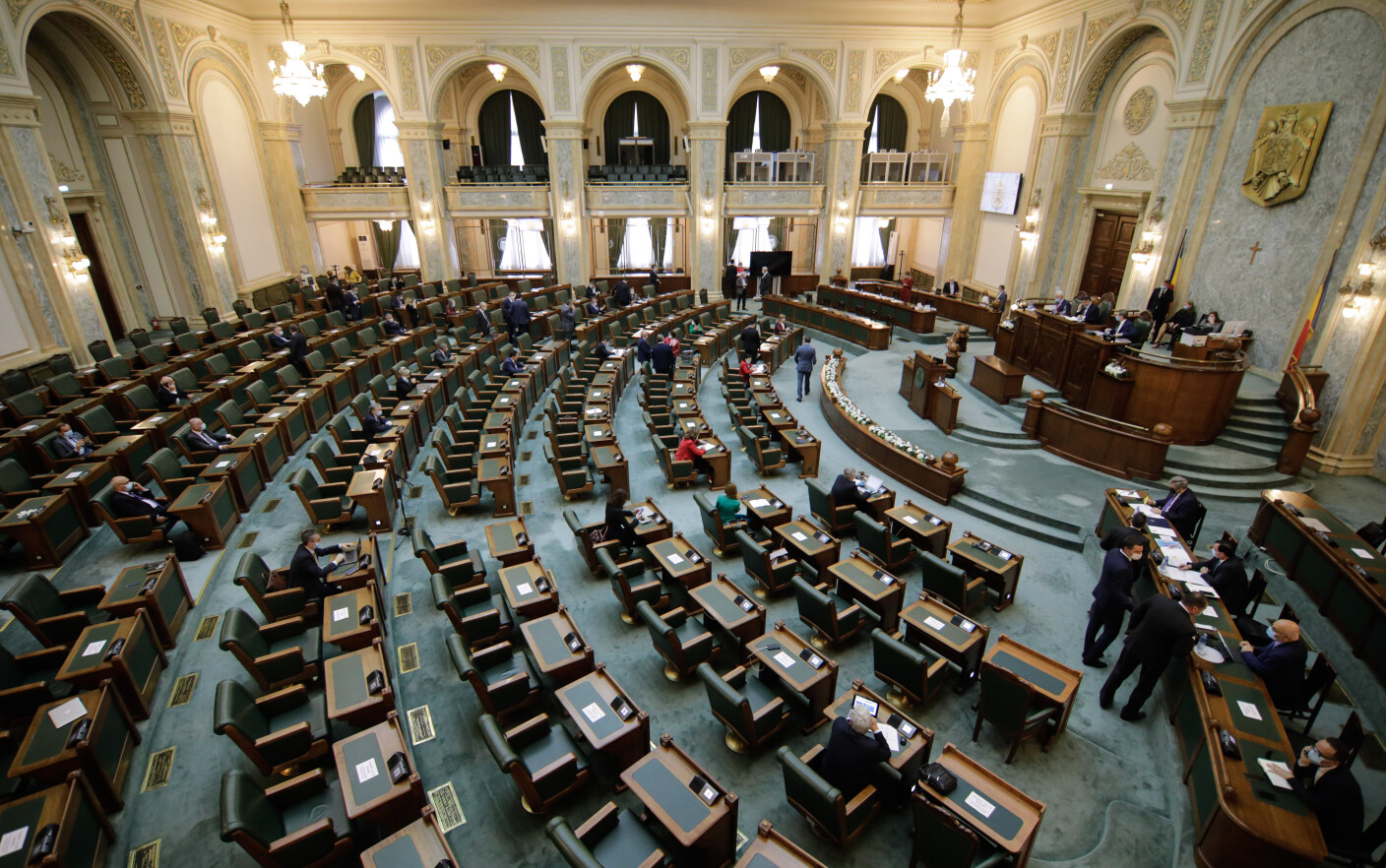 Senatul dezbate moţiunea simplă a PSD împotriva ministrului Muncii. ”Opriți-o pe Doamna în negru”