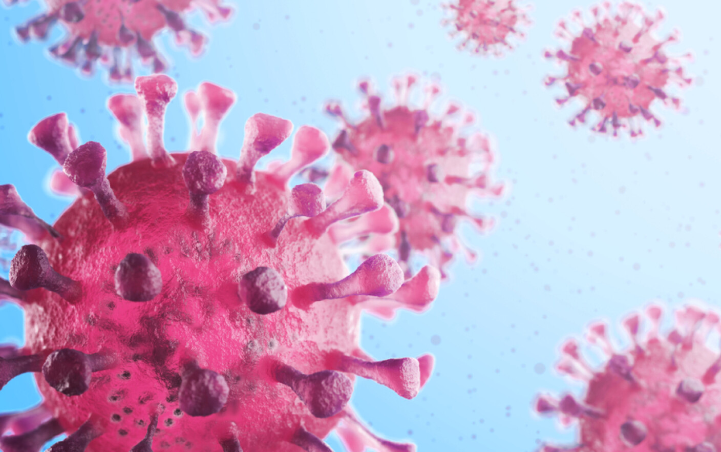 coronavirus