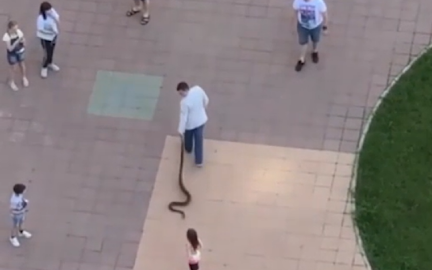 Un rus și-a scos șarpele la plimbare prin oraș. Cum au reacționat trecătorii