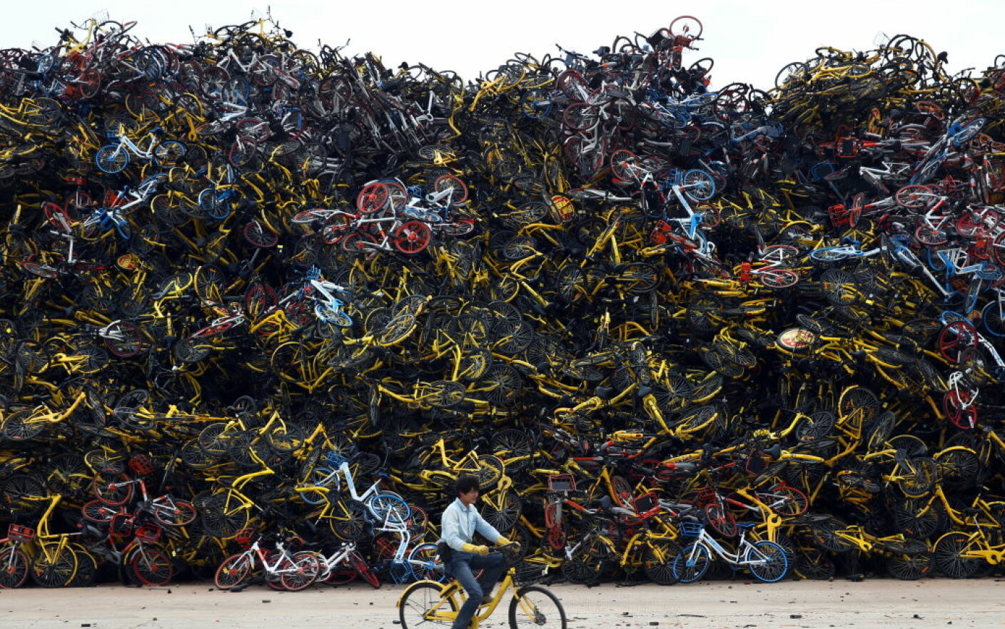 Biciclete abandonate China