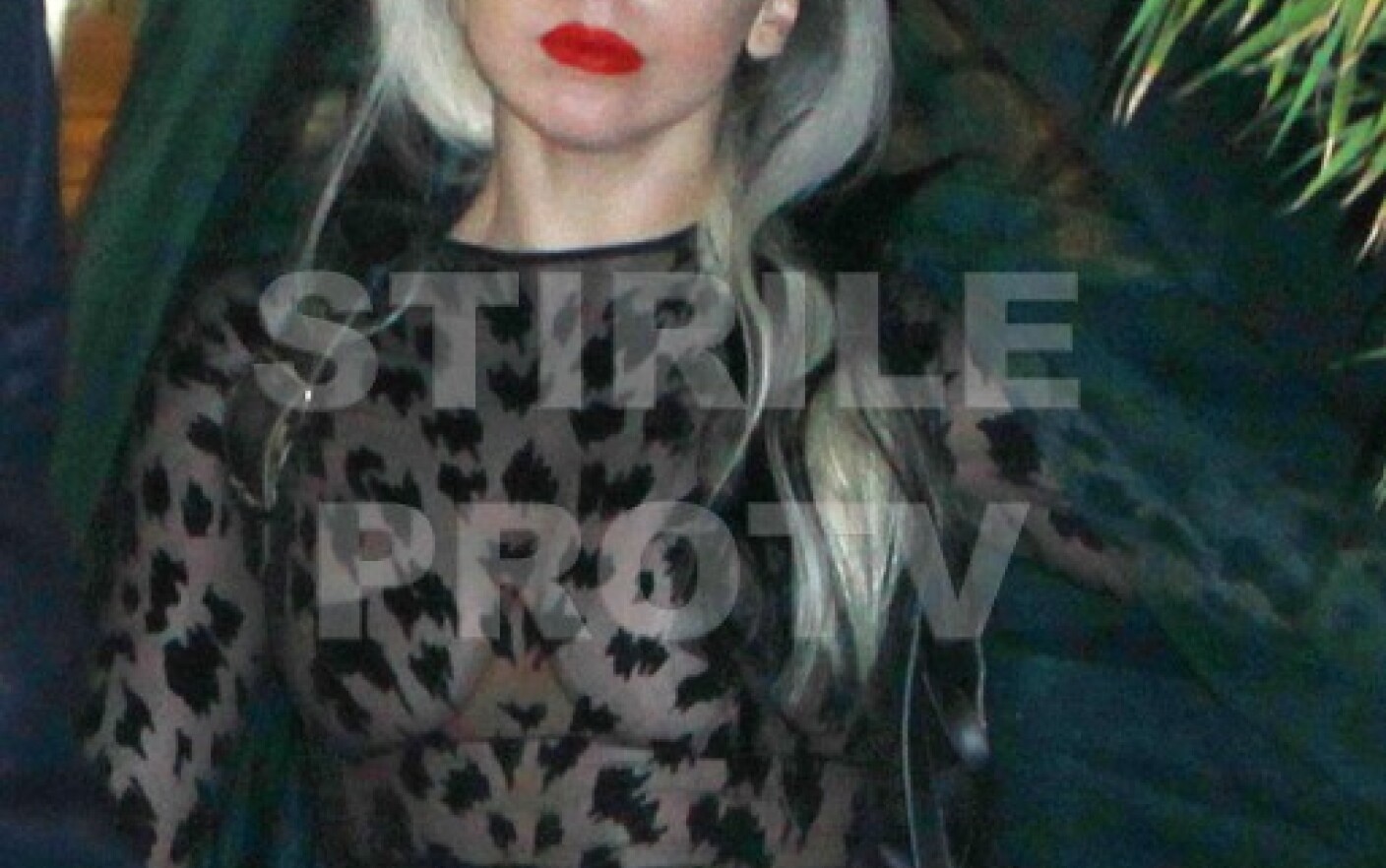 Lady GaGa, cenzurata la tv: a purtat tocuri in forma de penis. FOTO - tecs.ro