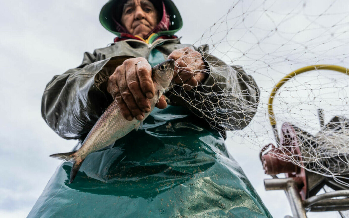 Capturi-record pentru pescari în Marea Neagră. Fenomenul care a cauzat  înmulțirea peștilor - Stirileprotv.ro