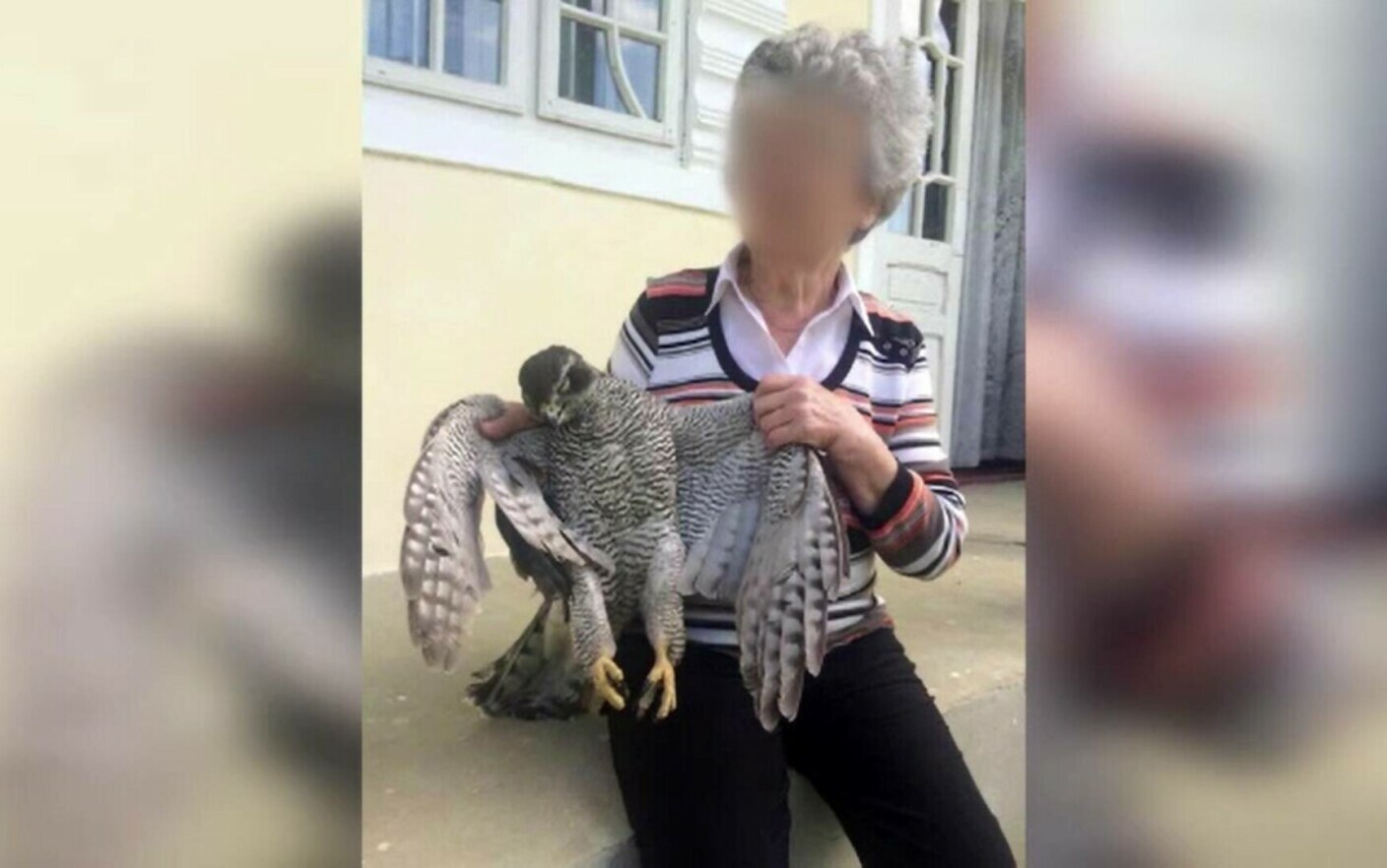 Costumes Involved Orator O femeie din Iași riscă să ajungă după gratii după ce a ucis un uliu și s-a  lăudat pe rețelele sociale - Stirileprotv.ro