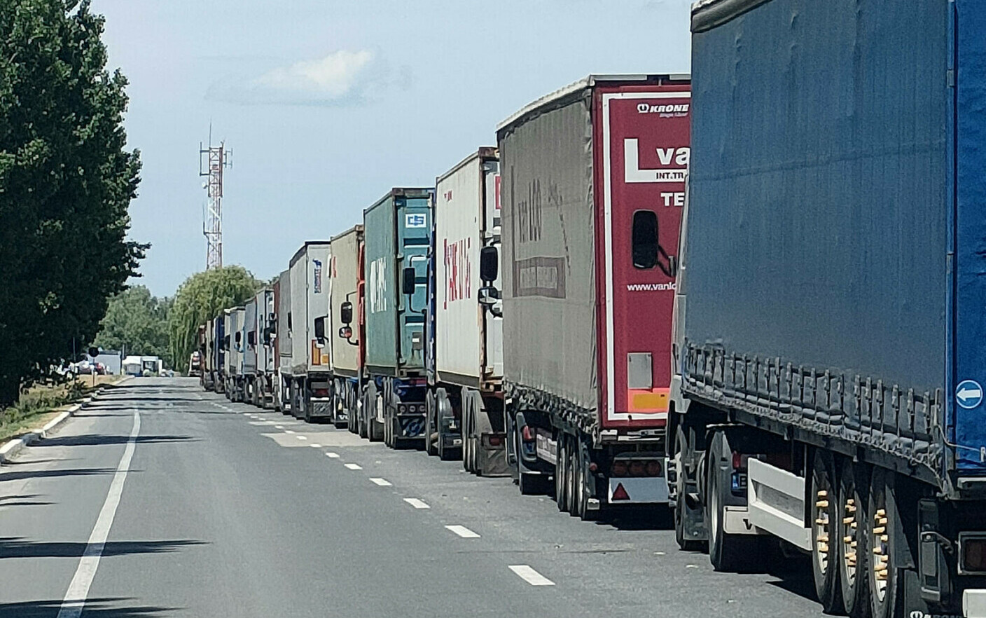 camioane