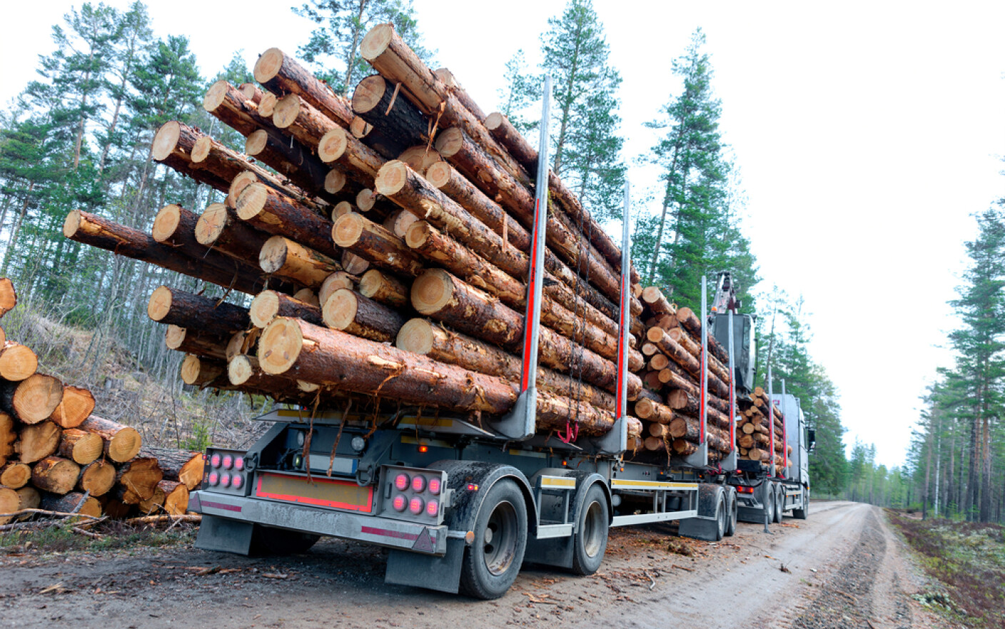 iLikeIT. Cum putem verifica dacă un transport de lemne este legal ...