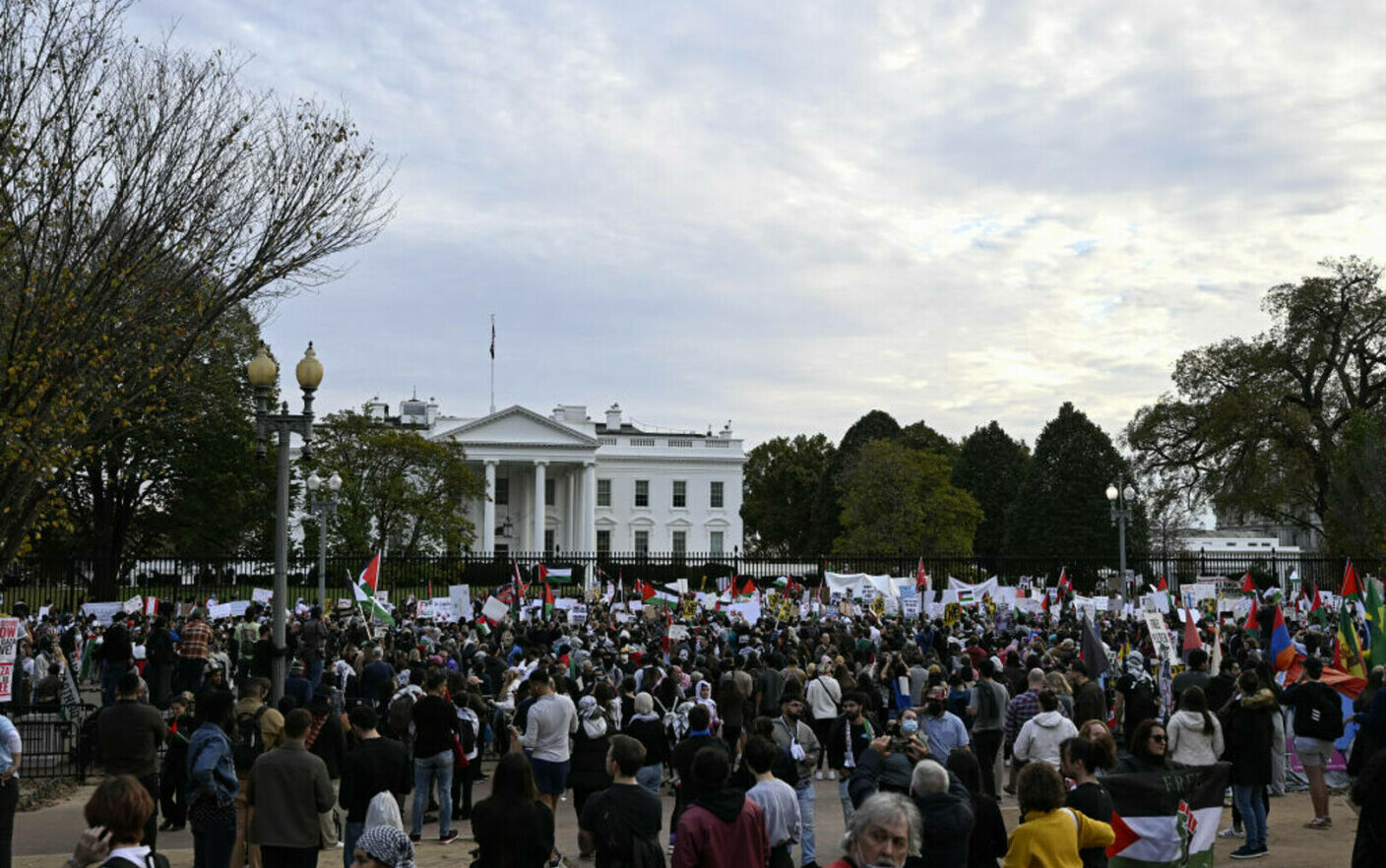 protest pro-palestina in SUA