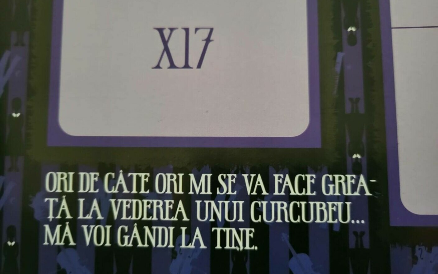 Broșură cu mesaje șocante, împărțite elevilor unei școli din Iași „Mi se va face greaţă la vederea unui curcubeu”