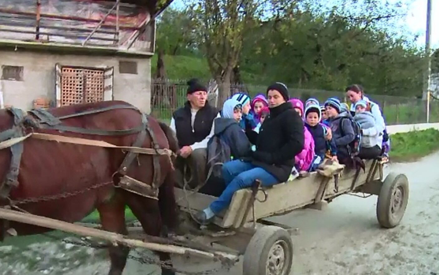 S-a răsuturnat căruţa cu cai în cea mai brutală liniuţă pentru maşini demente (video)