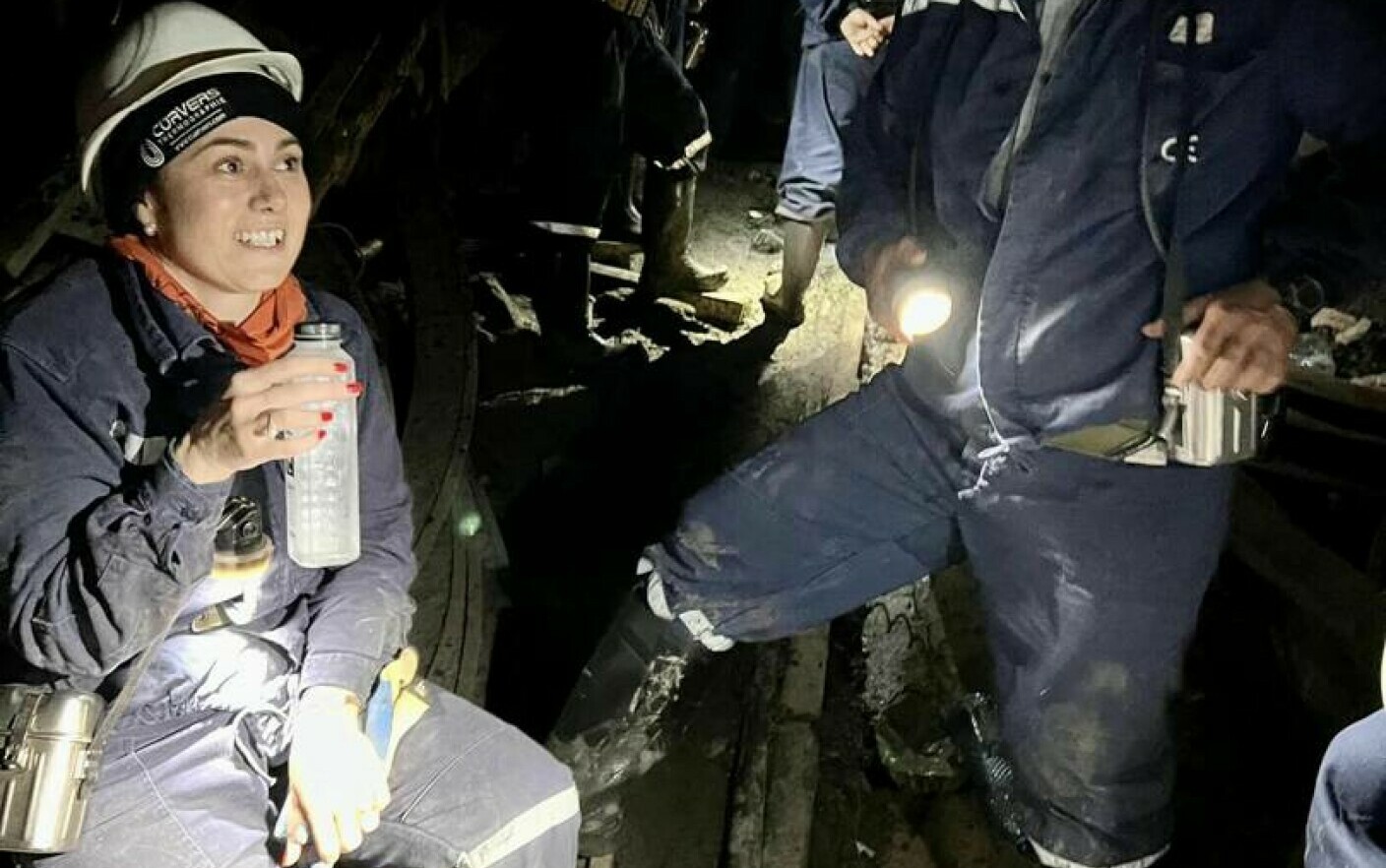 ministrul muncii mina vulcan