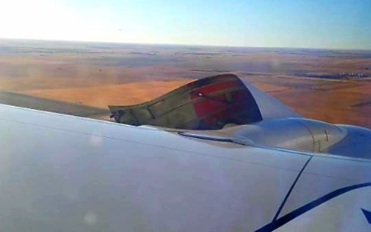 jesu li psi dopušteni na zelenom aerodromu u providenceu