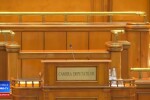 Scandal în Parlament, la votul privind referendumul. Deputatul Rădulescu a sărit să-l apere pe Manda