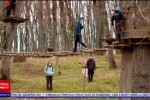 Potențial turistic uriaș în vestul țării. Domeniul Herneacova, zonă de drumeții și aventură, biodiversitatea din Lunca Mureș