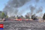 Incendiu de vegetație în Delta Văcărești. Aproximativ 10.000 mp sunt afectați